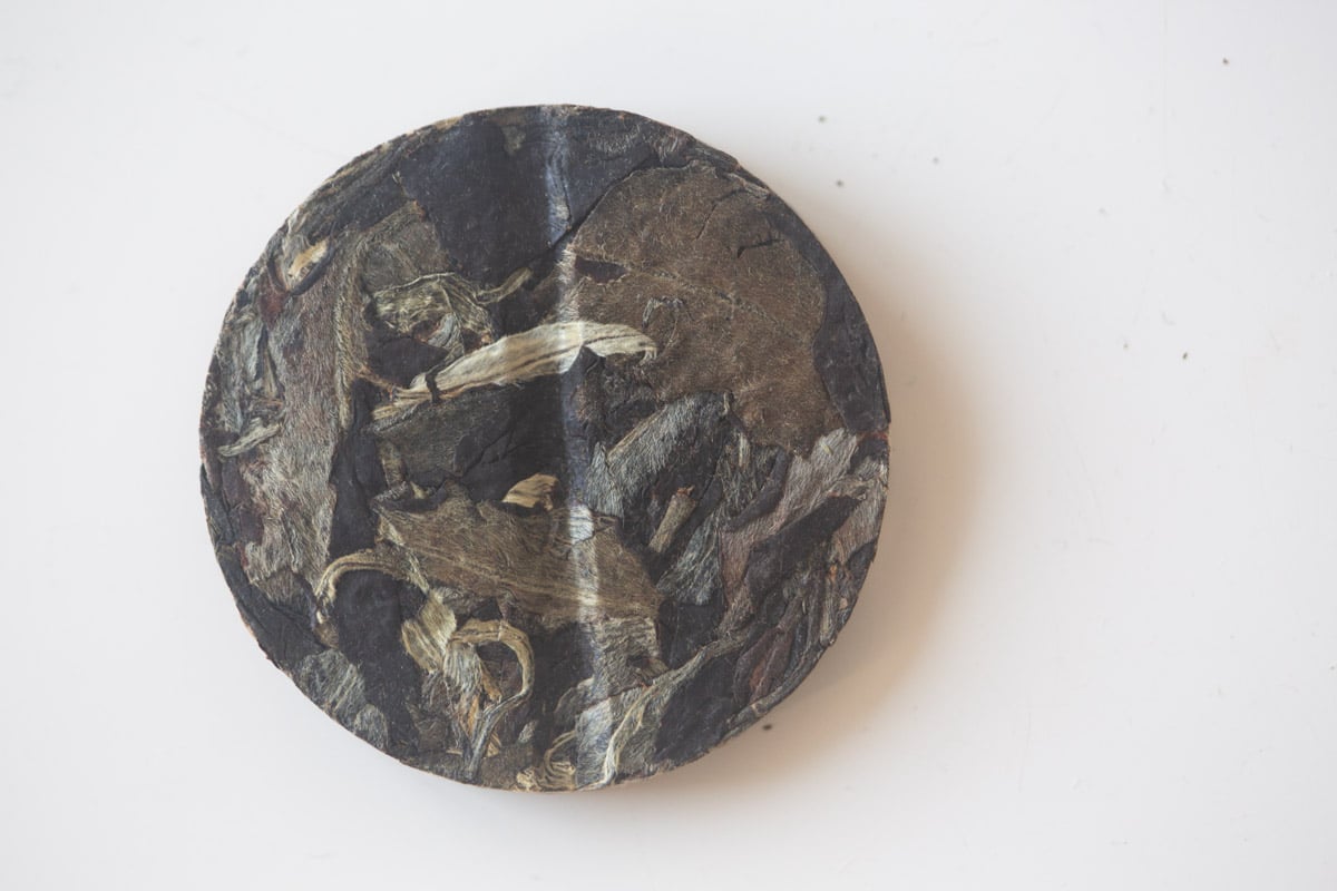 casual companion 2025 spring nanmo white tea 4 | BITTERLEAF TEAS