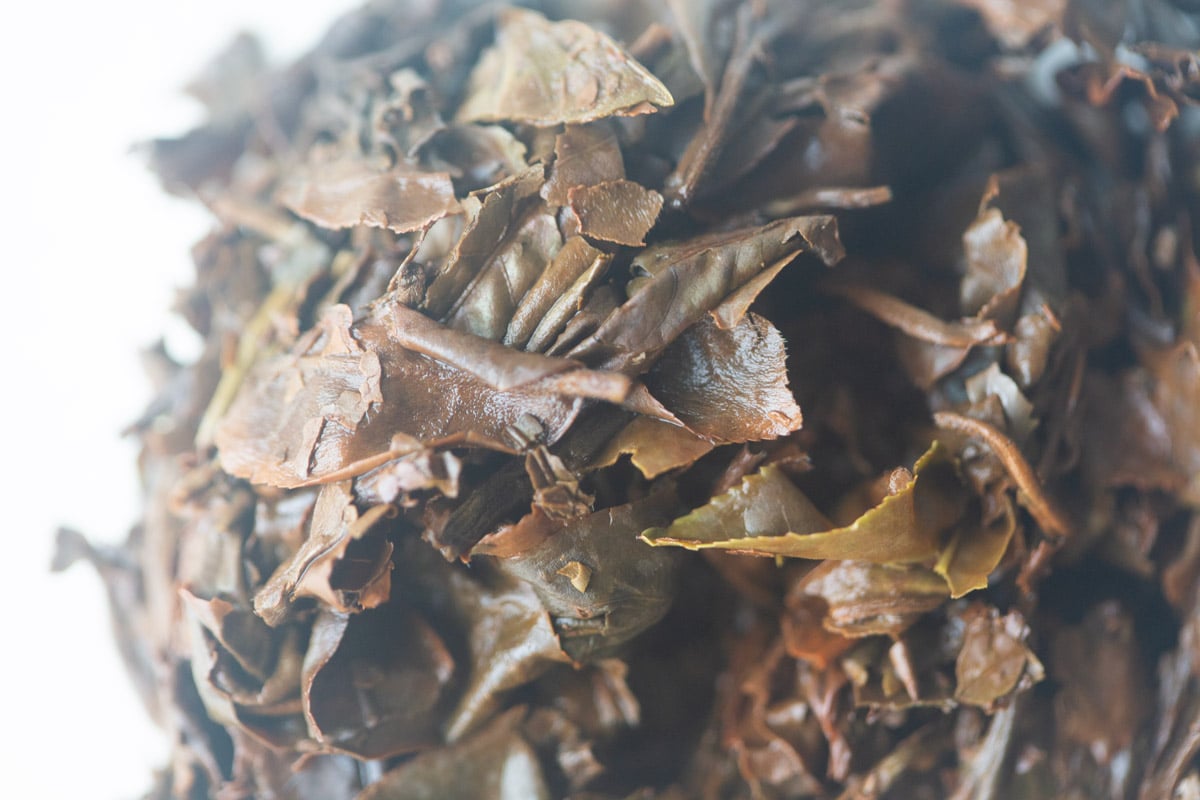 casual companion 2025 spring nanmo white tea 7 | BITTERLEAF TEAS