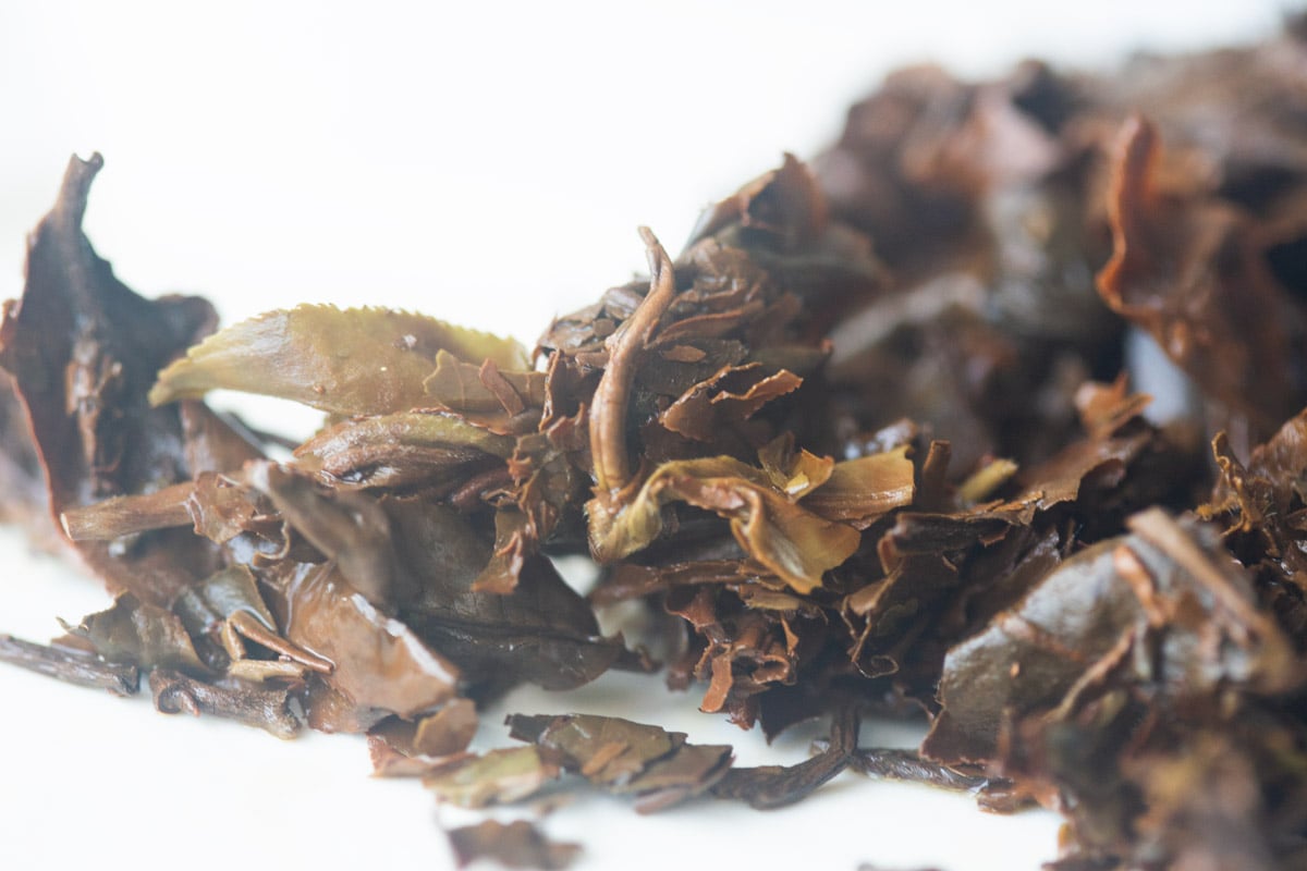 casual companion 2025 spring nanmo white tea 8 | BITTERLEAF TEAS