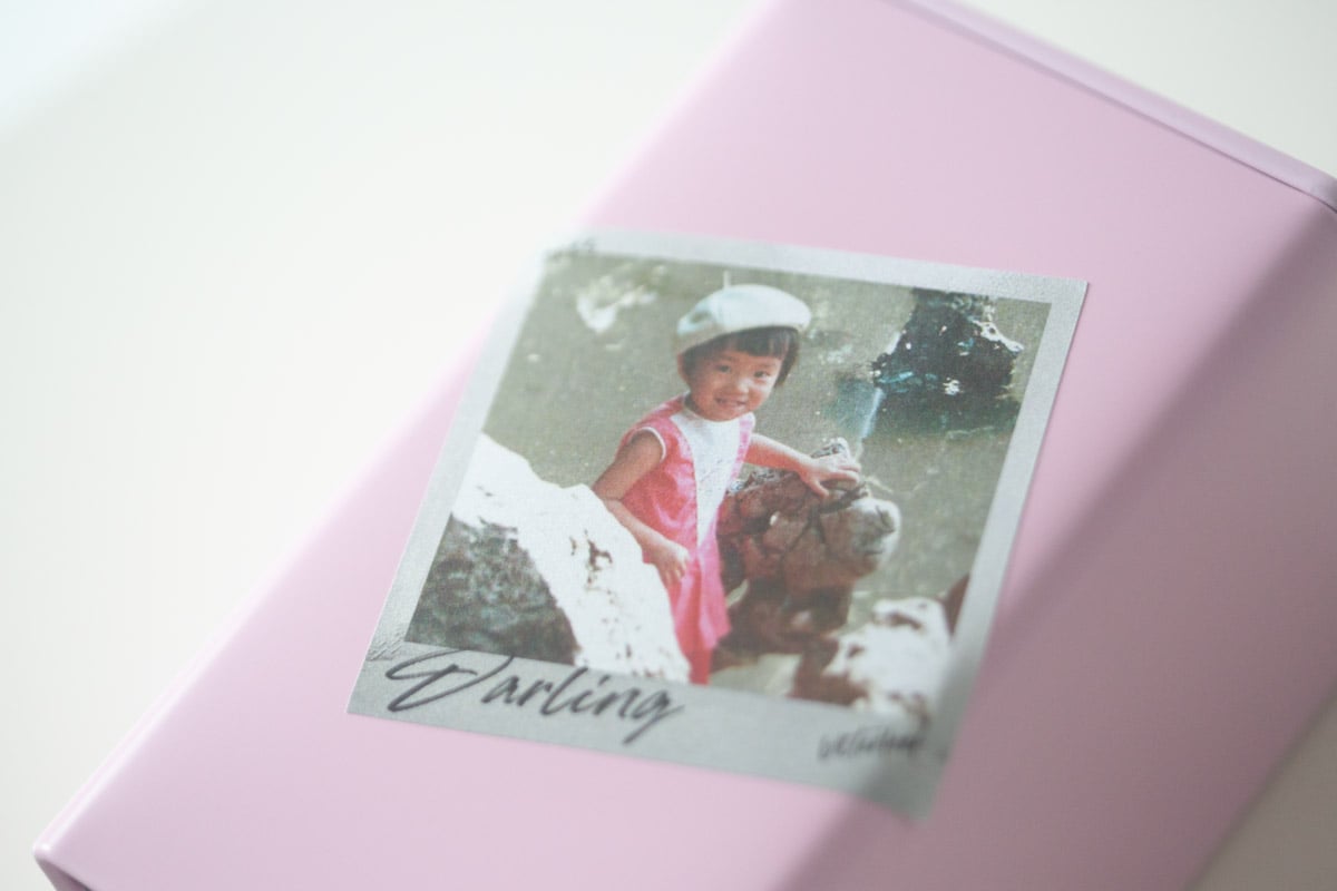 darling 2025 spring lincang dianhong black tea 2 | BITTERLEAF TEAS