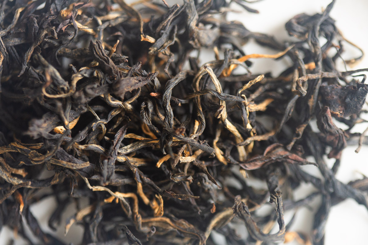 darling 2025 spring lincang dianhong black tea 3 | BITTERLEAF TEAS