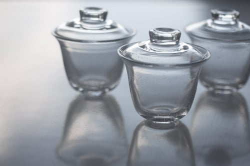 Fizz Glass Gaiwan