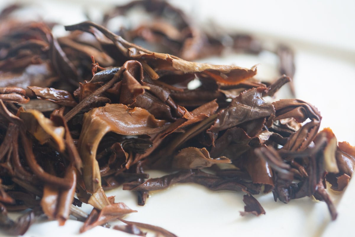 night day 2025 white tea black tea blend 7 | BITTERLEAF TEAS