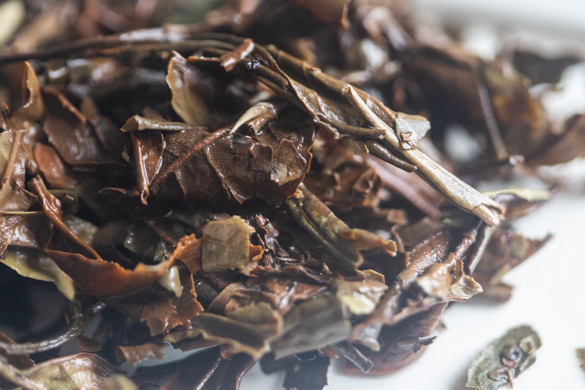 tiger sniffs the rose 2025 naka white tea 10 | BITTERLEAF TEAS tiger sniffs the rose 2025 naka white tea 10 | BITTERLEAF TEAS