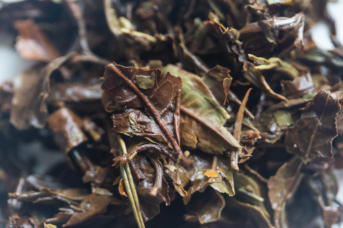 tiger sniffs the rose 2025 naka white tea 9 | BITTERLEAF TEAS tiger sniffs the rose 2025 naka white tea 9 | BITTERLEAF TEAS