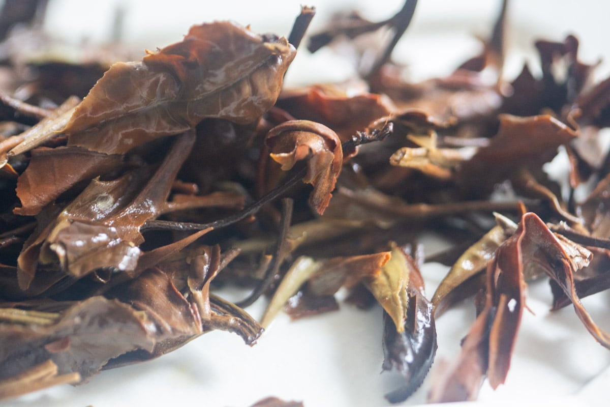 white crow 2025 bangdong white tea 10 | BITTERLEAF TEAS white crow 2025 bangdong white tea 10 | BITTERLEAF TEAS