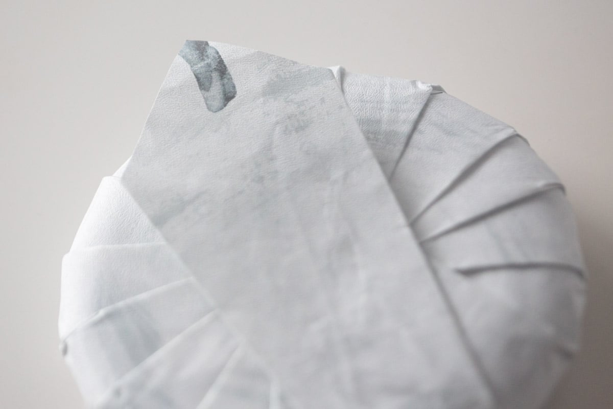 white crow 2025 bangdong white tea 3 | BITTERLEAF TEAS white crow 2025 bangdong white tea 3 | BITTERLEAF TEAS