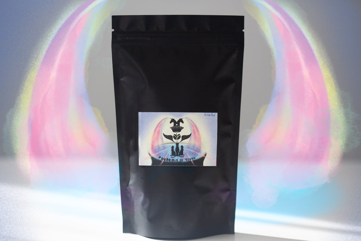 fountain of youth 2003 liubao heicha 1 | BITTERLEAF TEAS