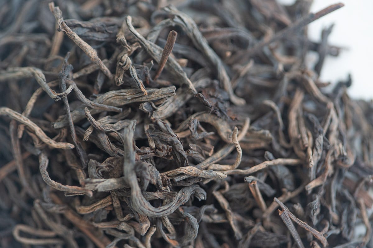 fountain of youth 2003 liubao heicha 3 | BITTERLEAF TEAS