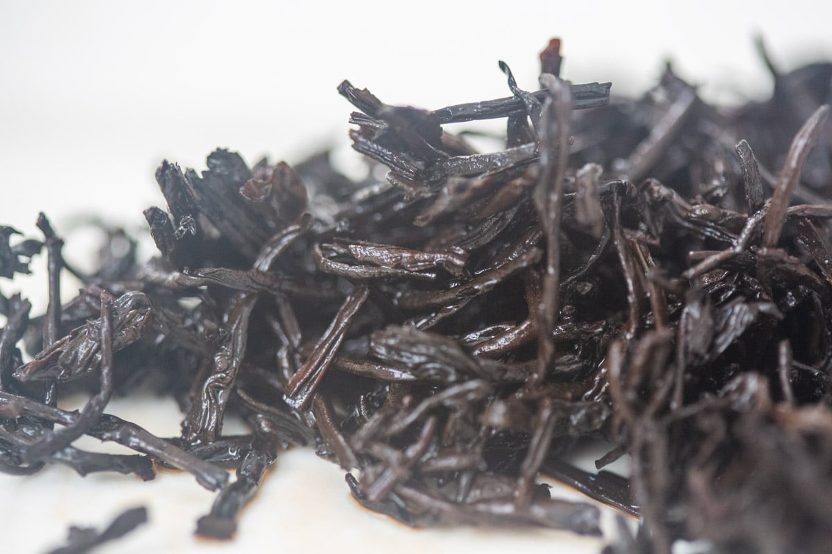 fountain of youth 2003 liubao heicha 6 | BITTERLEAF TEAS