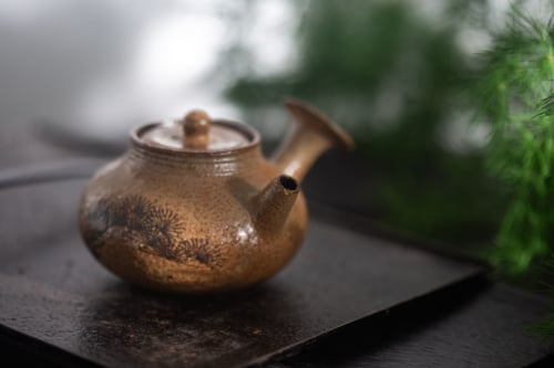 Repose Kyusu Teapot - Tan