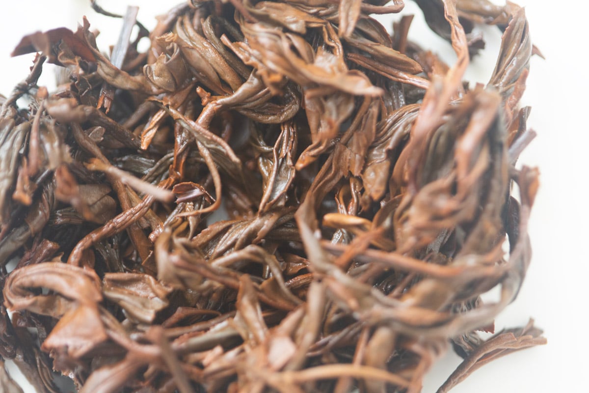 all day breakfast 2025 spring jinggu black tea 9 | BITTERLEAF TEAS