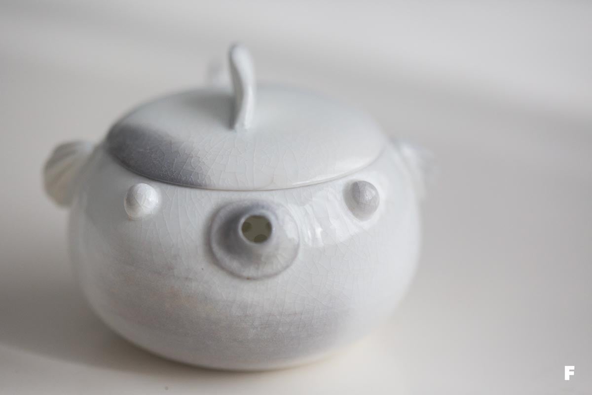 dive wood fired houhing 3 26 13 | BITTERLEAF TEAS