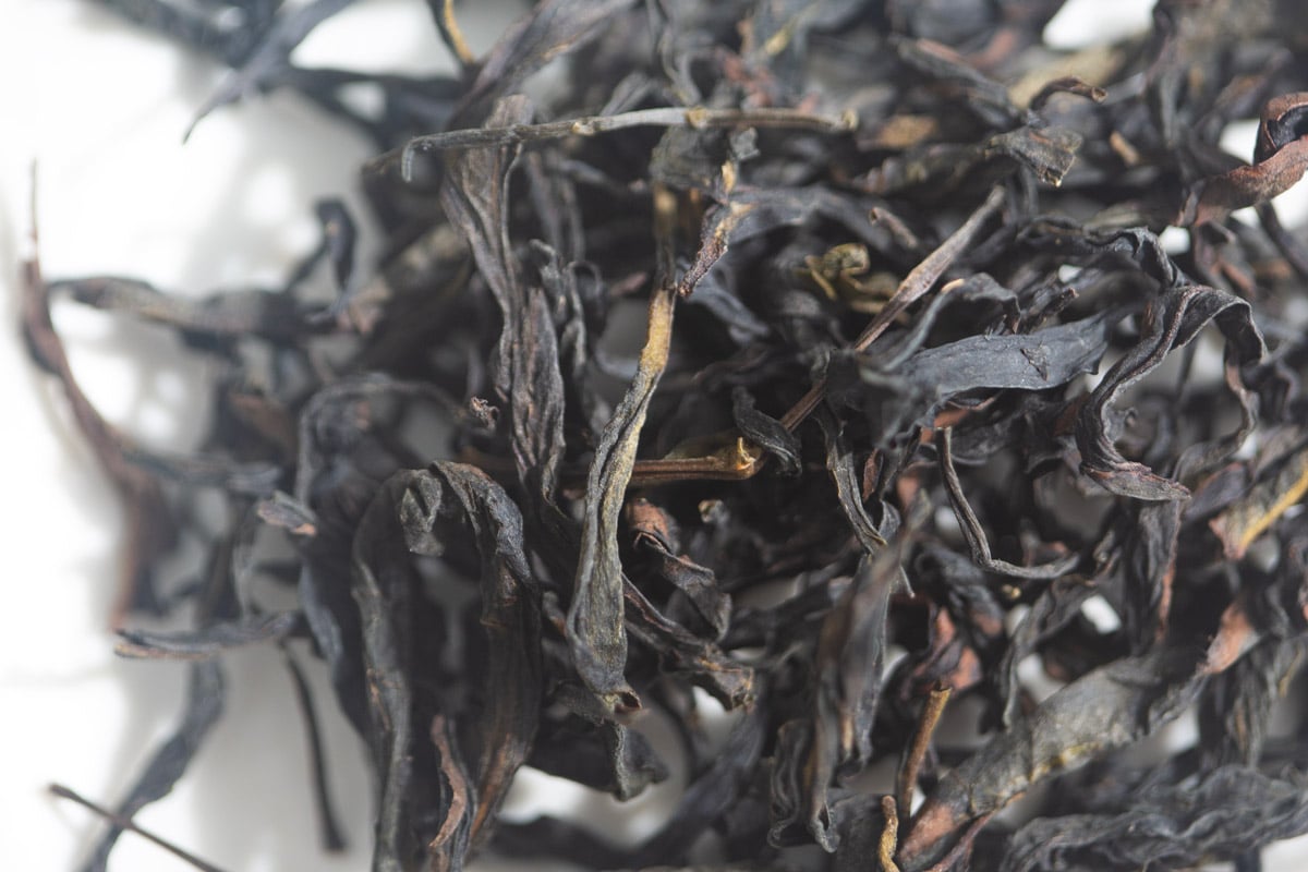 double scoop 2025 winter wuye dancong oolong 1 | BITTERLEAF TEAS double scoop 2025 winter wuye dancong oolong 1 | BITTERLEAF TEAS