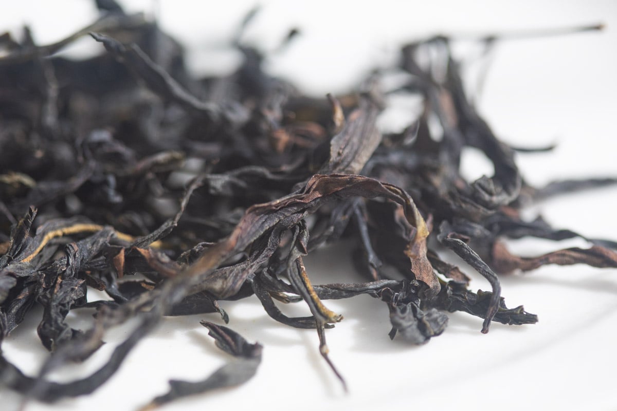 double scoop 2025 winter wuye dancong oolong 2 | BITTERLEAF TEAS double scoop 2025 winter wuye dancong oolong 2 | BITTERLEAF TEAS