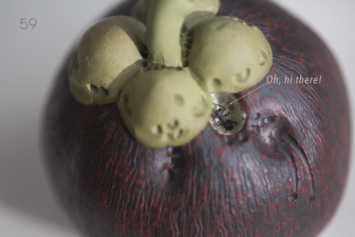 odd ends 2026 tea pet 14 | BITTERLEAF TEAS