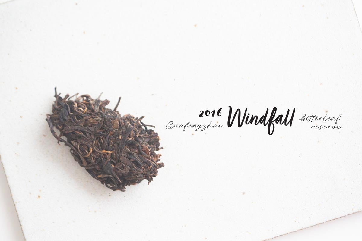 bitterleaf reserve windfall 2016 fall guafengzhai raw puer 2 | BITTERLEAF TEAS