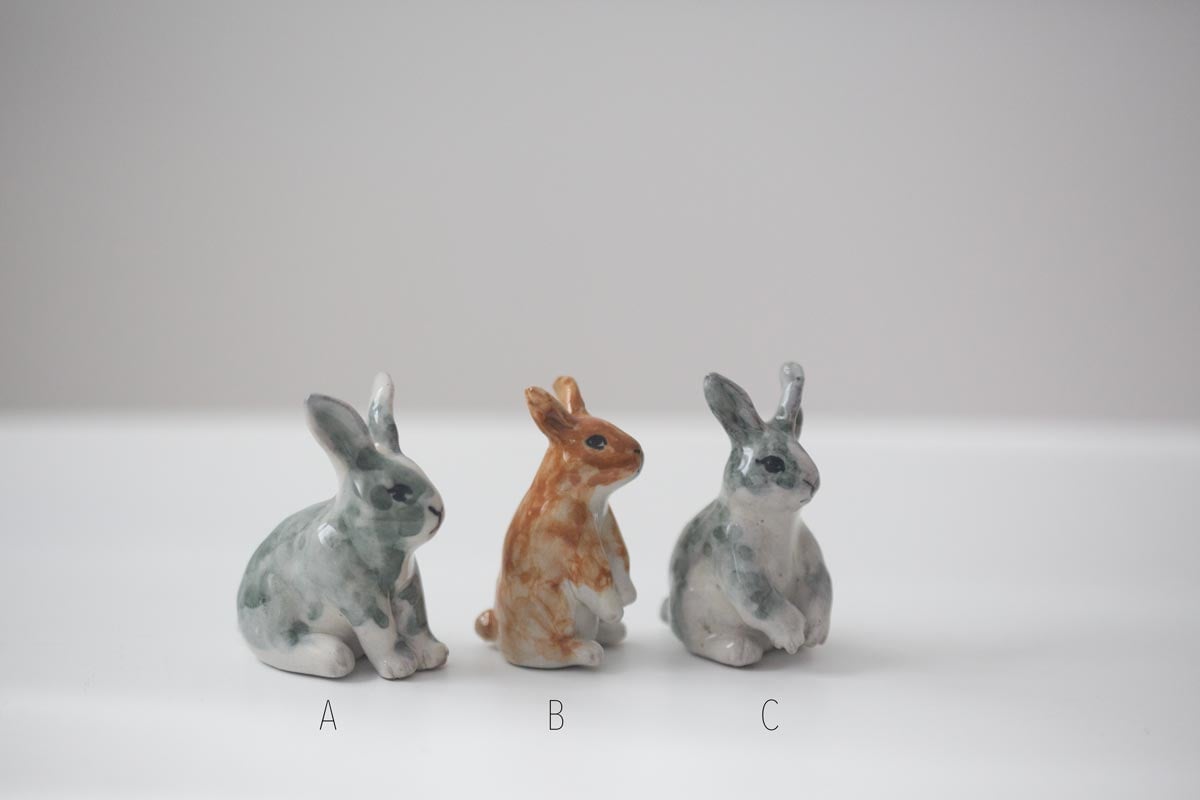 great race tea pet 2 26 20 | BITTERLEAF TEAS great race tea pet 2 26 20 | BITTERLEAF TEAS