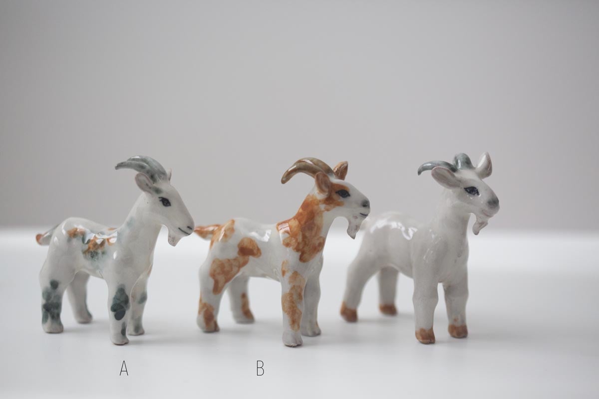 great race tea pet 2 26 28 | BITTERLEAF TEAS great race tea pet 2 26 28 | BITTERLEAF TEAS