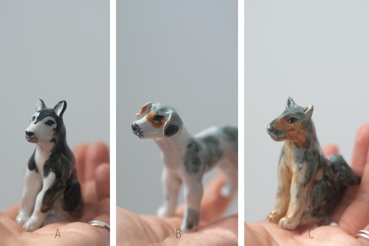 great race tea pet 2 26 38 | BITTERLEAF TEAS great race tea pet 2 26 38 | BITTERLEAF TEAS