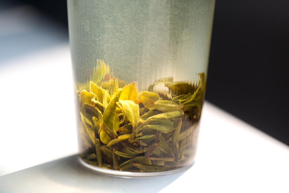 dragon of yunnan 2026 spring yiliang baohong organic green tea 11 | BITTERLEAF TEAS