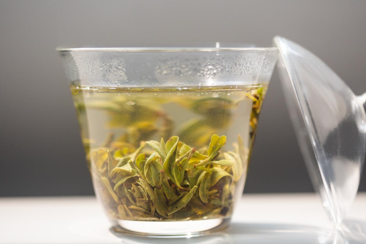 dragon of yunnan 2026 spring yiliang baohong organic green tea 9 | BITTERLEAF TEAS