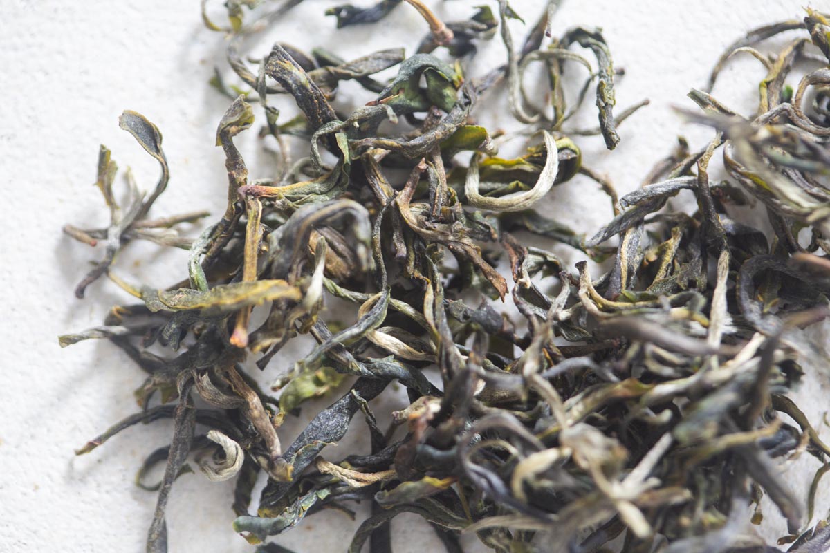 early bird 2026 spring simao organic green tea 4 | BITTERLEAF TEAS