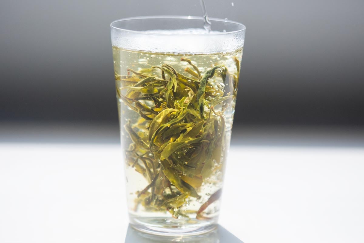 early bird 2026 spring simao organic green tea 6 | BITTERLEAF TEAS