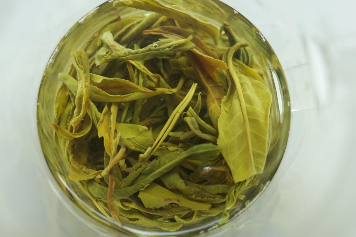 Full of Beans 2026 Spring Simao Organic Green Tea