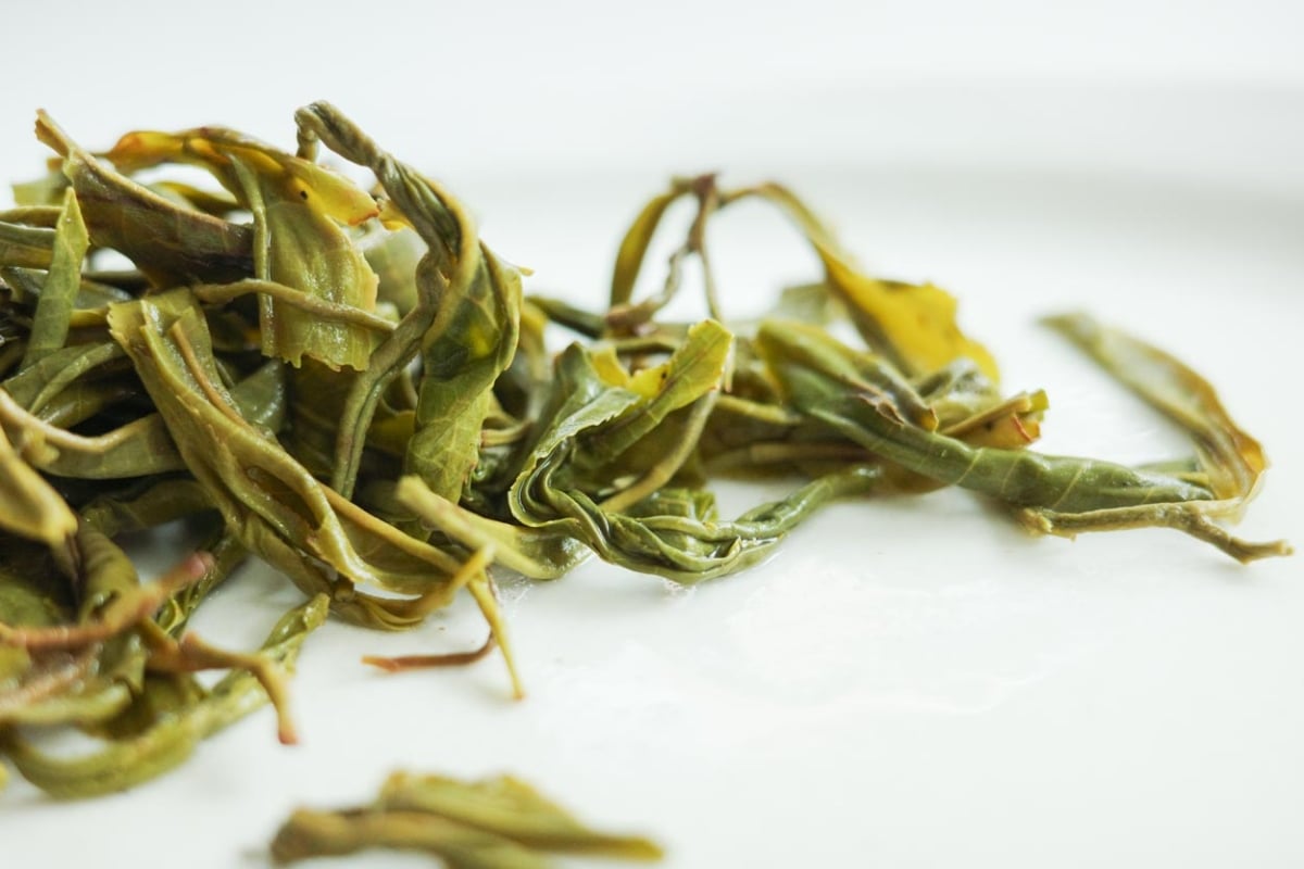 full of beans 2026 spring simao organic green tea 3 | BITTERLEAF TEAS