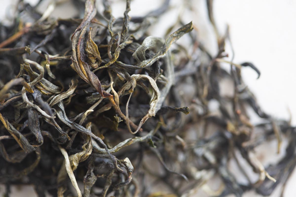 full of beans 2026 spring simao organic green tea 4 | BITTERLEAF TEAS