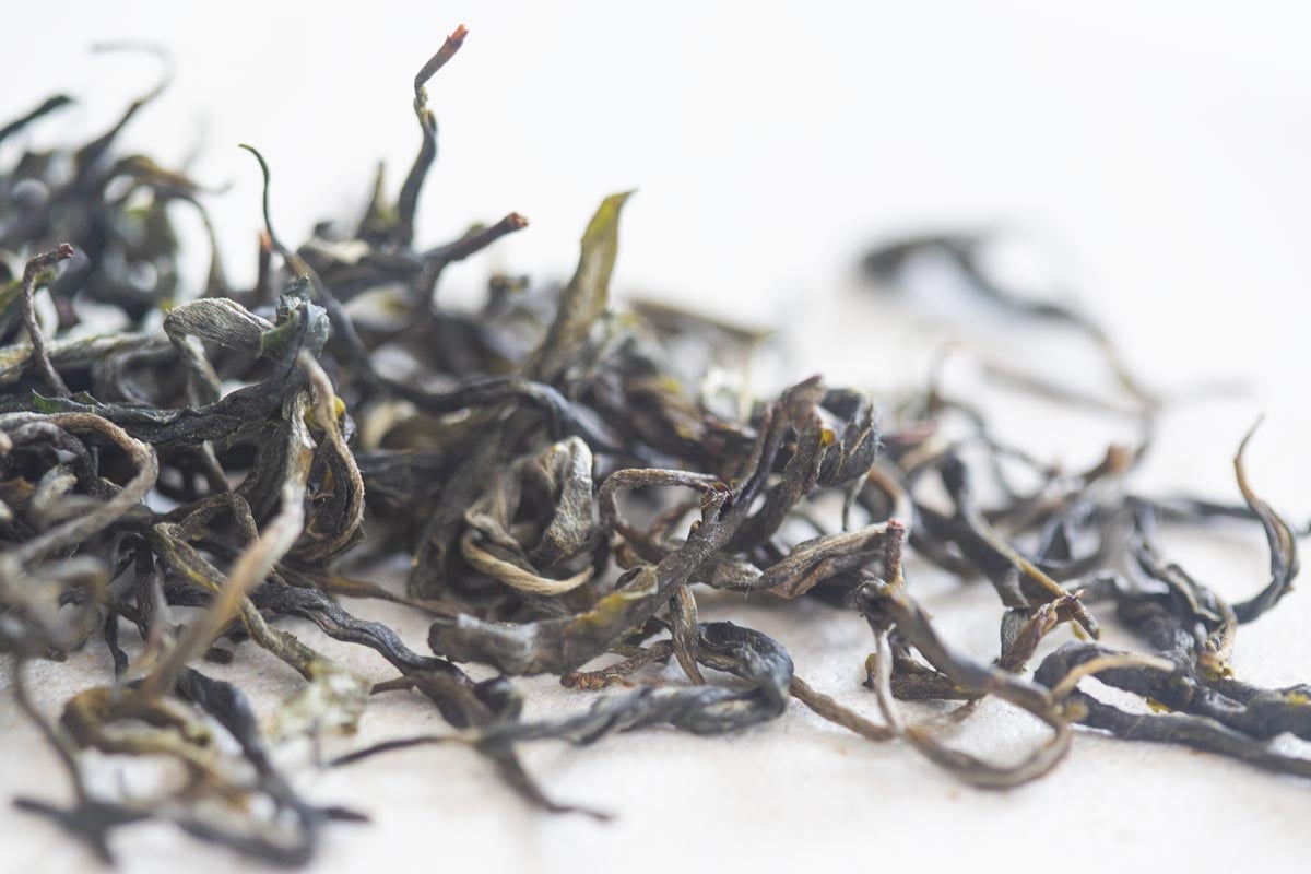 full of beans 2026 spring simao organic green tea 5 | BITTERLEAF TEAS