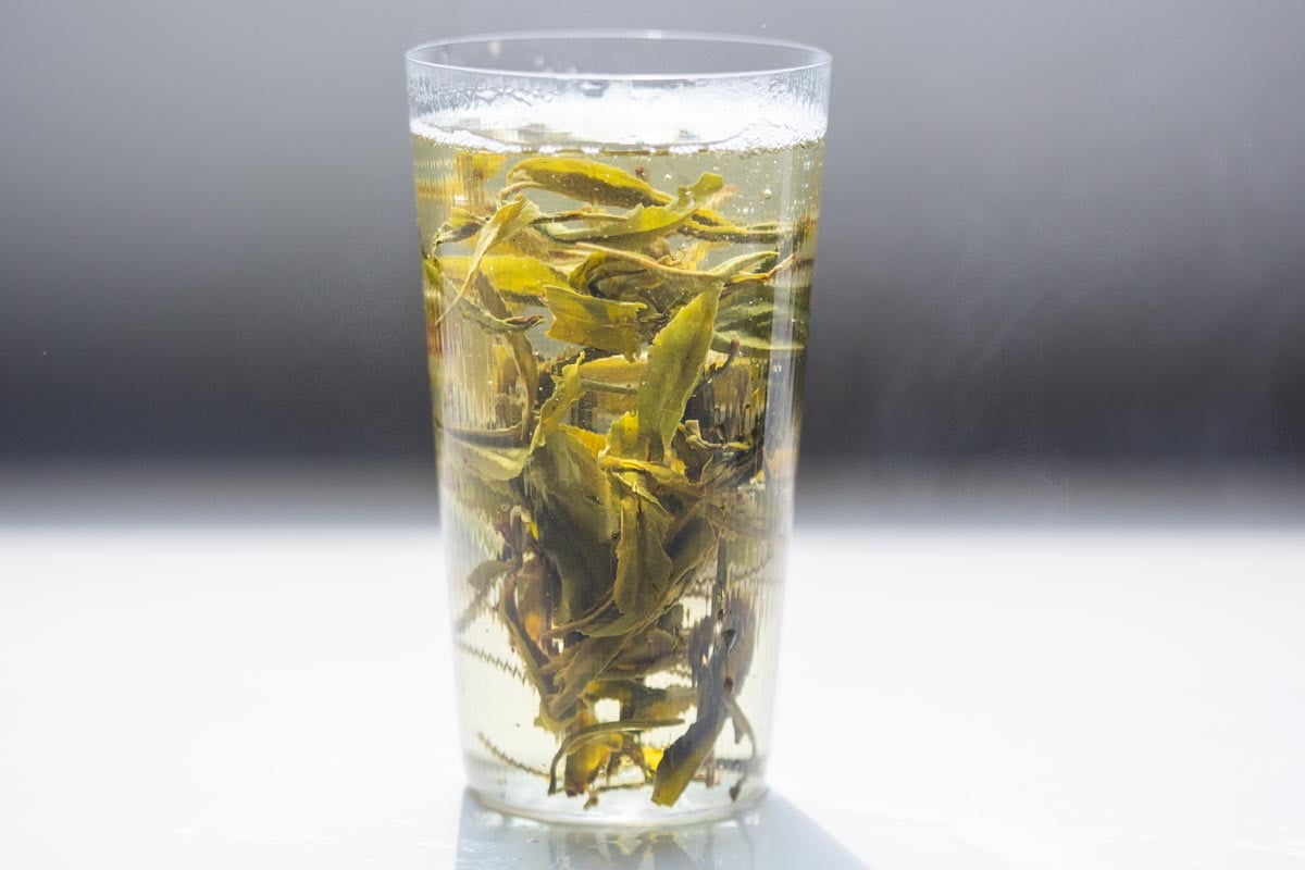 full of beans 2026 spring simao organic green tea 6 | BITTERLEAF TEAS