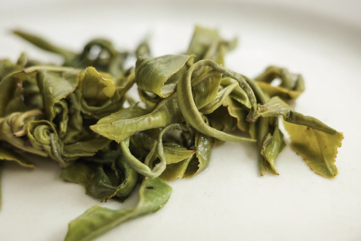 hulk 2026 spring simao green tea 2 | BITTERLEAF TEAS