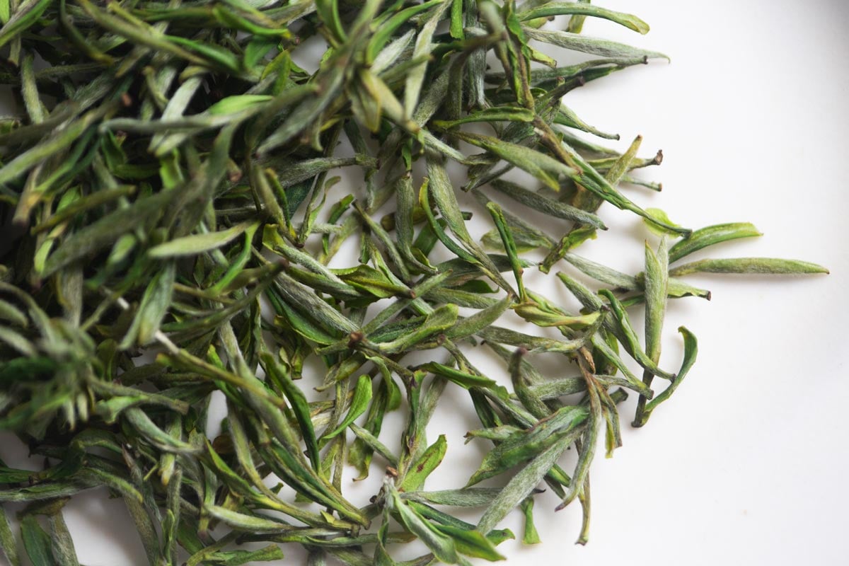 peak 2026 spring huangshan maofeng green tea 1 | BITTERLEAF TEAS