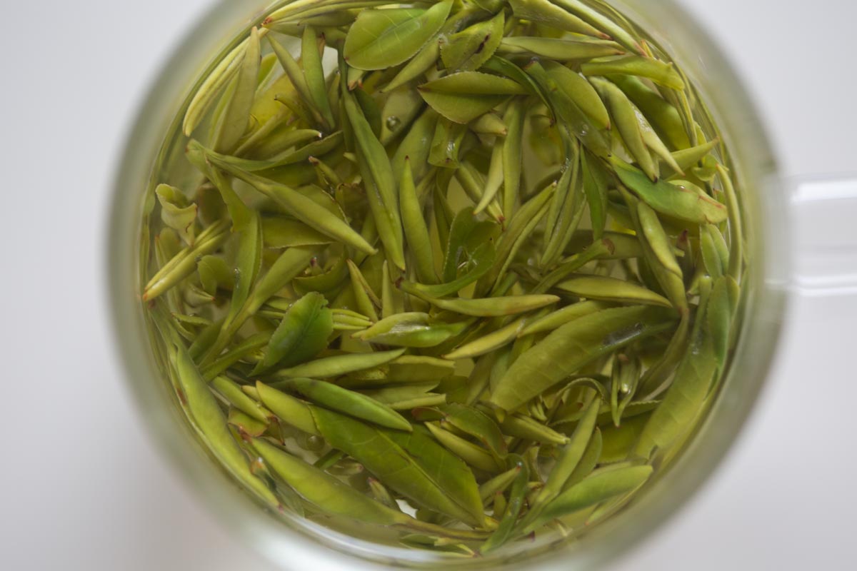 Peak 2026 Spring Huangshan Maofeng Green Tea | BITTERLEAF TEAS