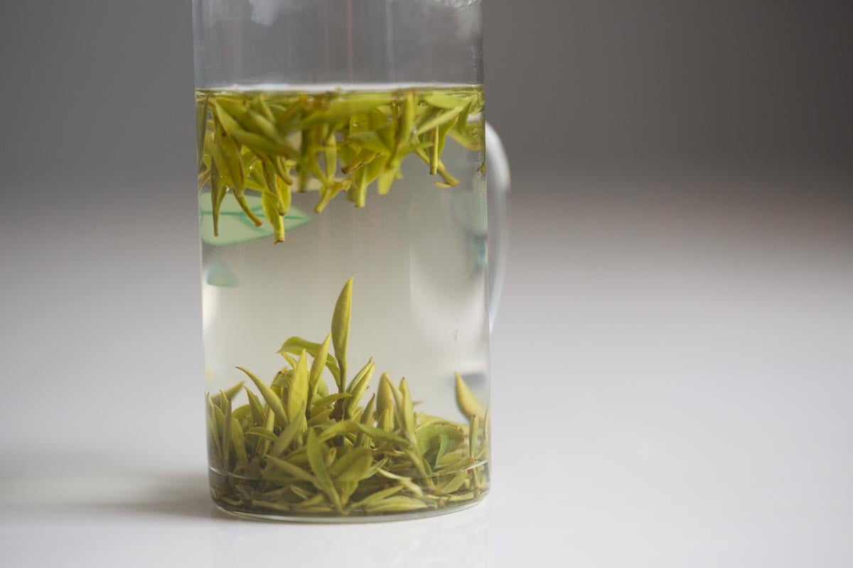 peak 2026 spring huangshan maofeng green tea 4 | BITTERLEAF TEAS