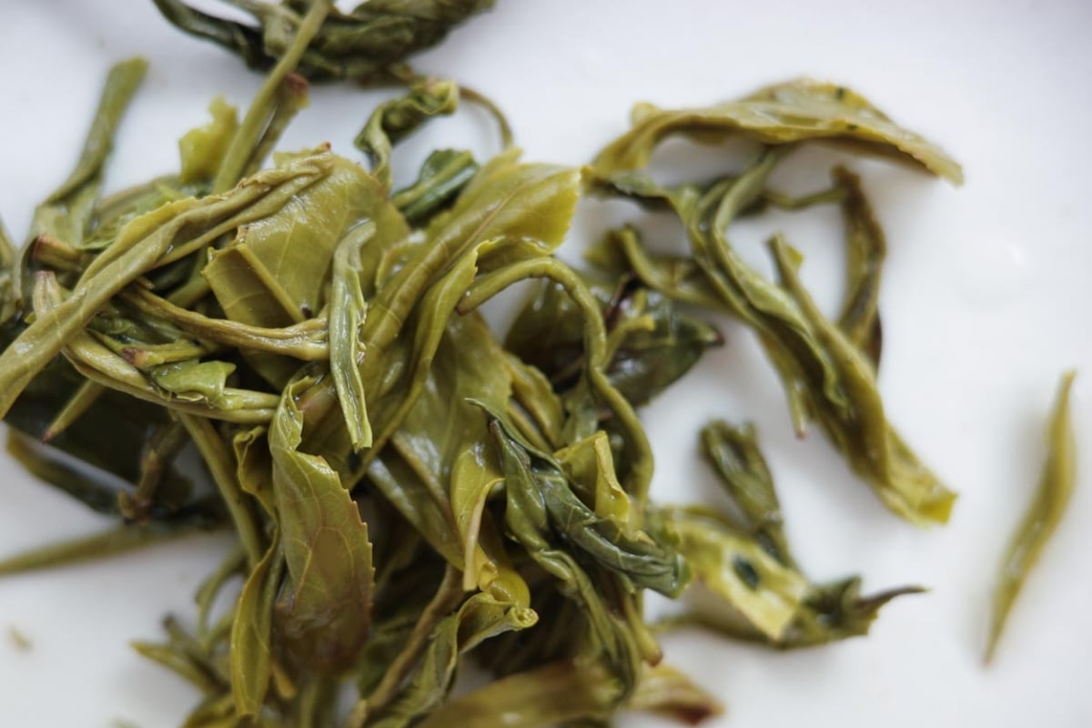 rice to meet you 2026 spring simao nuomixiang green tea 2 | BITTERLEAF TEAS