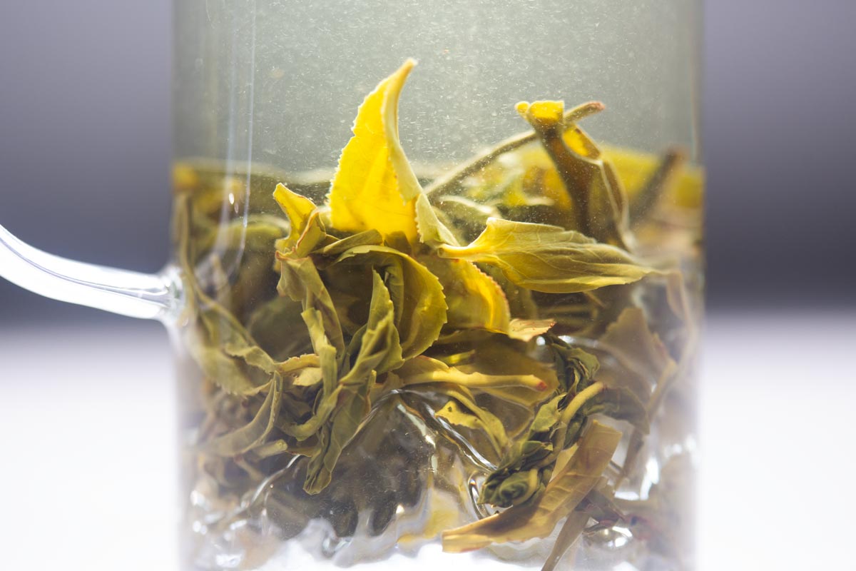 rice to meet you 2026 spring simao nuomixiang green tea 7 | BITTERLEAF TEAS