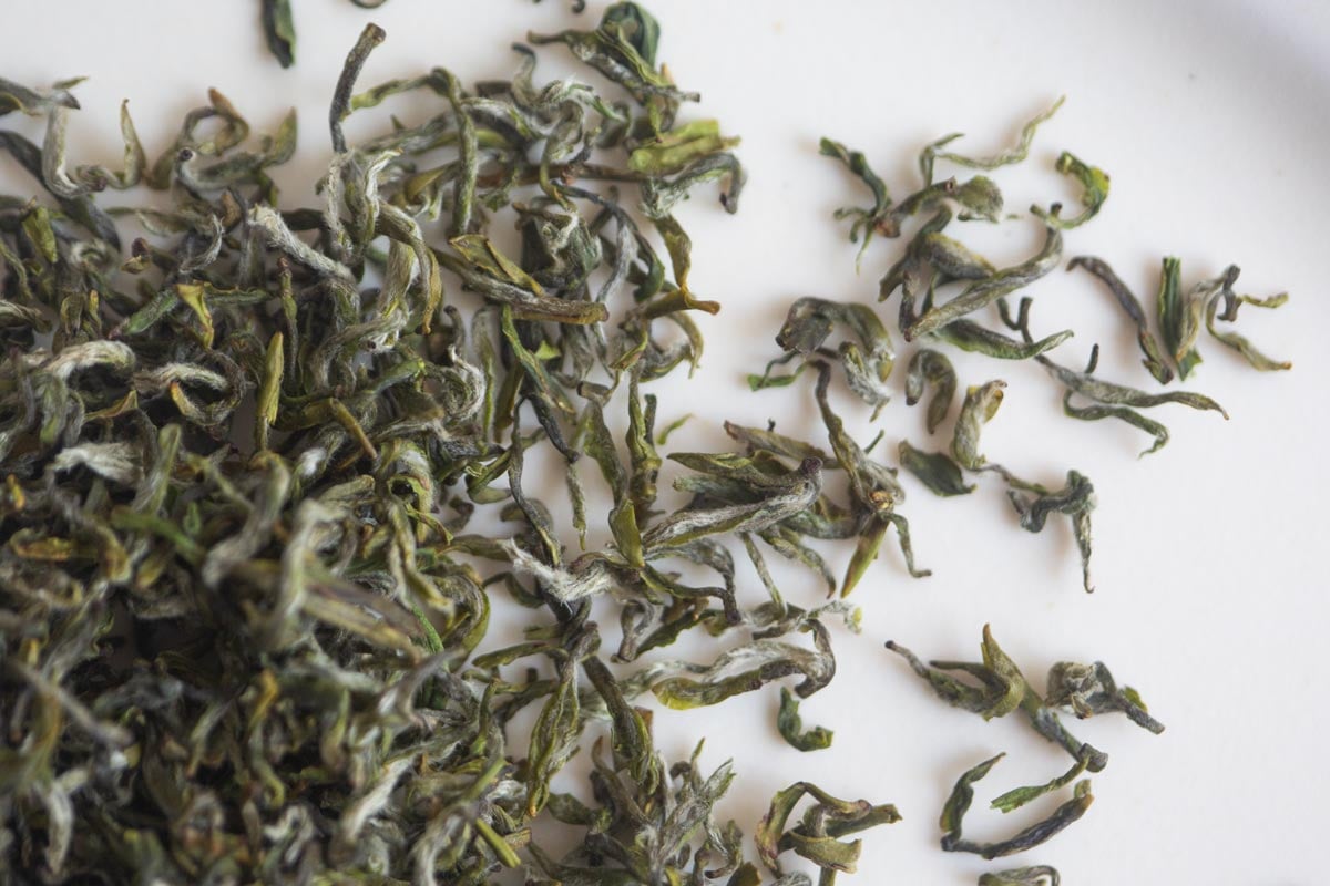 the finest 2026 spring mengding ganlu green tea 1 | BITTERLEAF TEAS