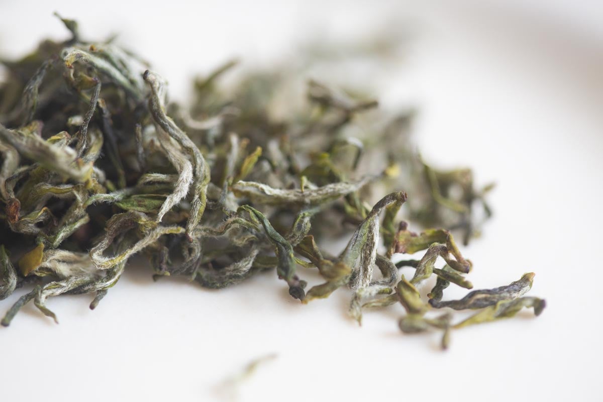 the finest 2026 spring mengding ganlu green tea 2 | BITTERLEAF TEAS