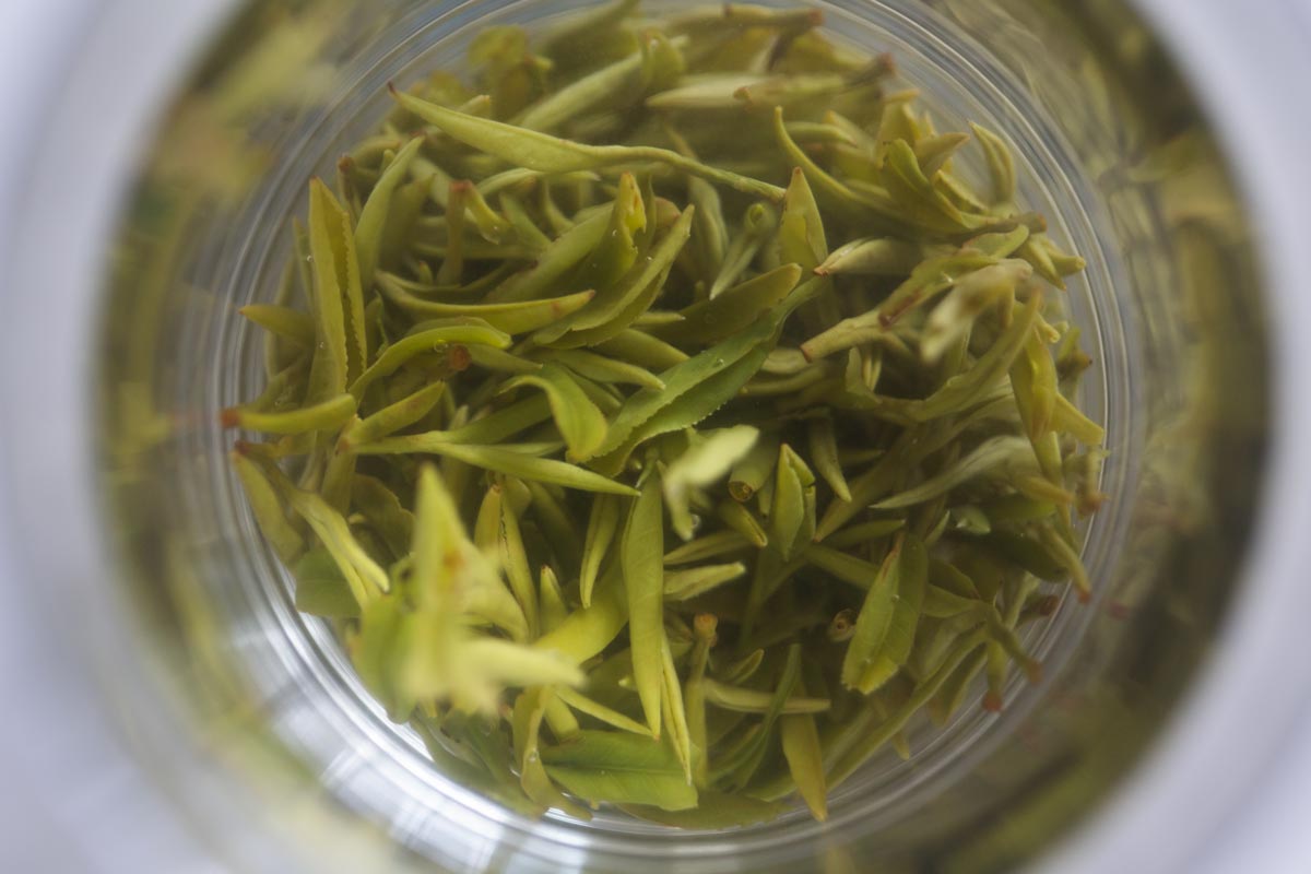the finest 2026 spring mengding ganlu green tea 4 | BITTERLEAF TEAS