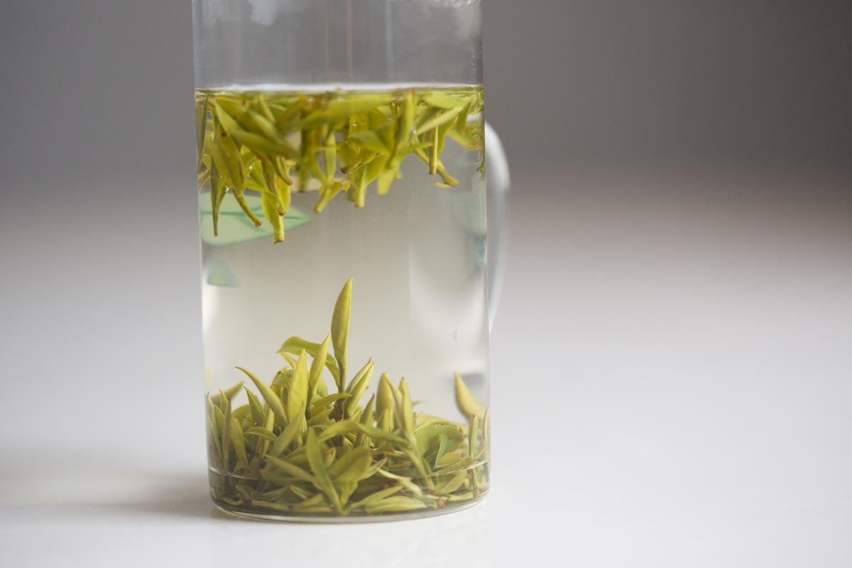 bitterleaf lazy leaf tea mug 4 | BITTERLEAF TEAS