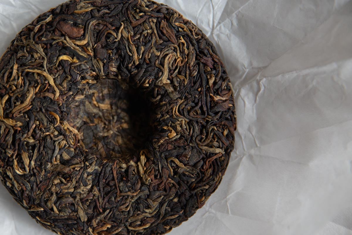 giant cookie 2026 spring bulang black tea 7 | BITTERLEAF TEAS