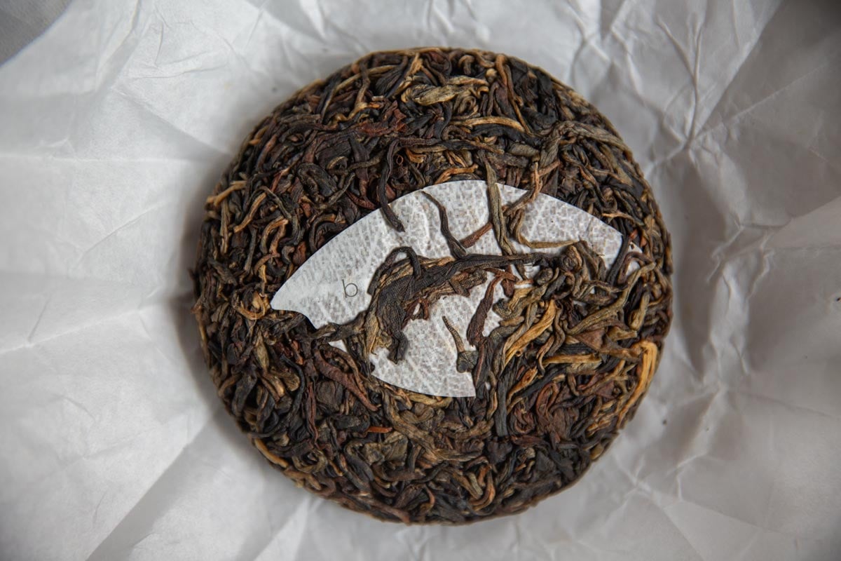 giant cookie 2026 spring bulang black tea 8 | BITTERLEAF TEAS