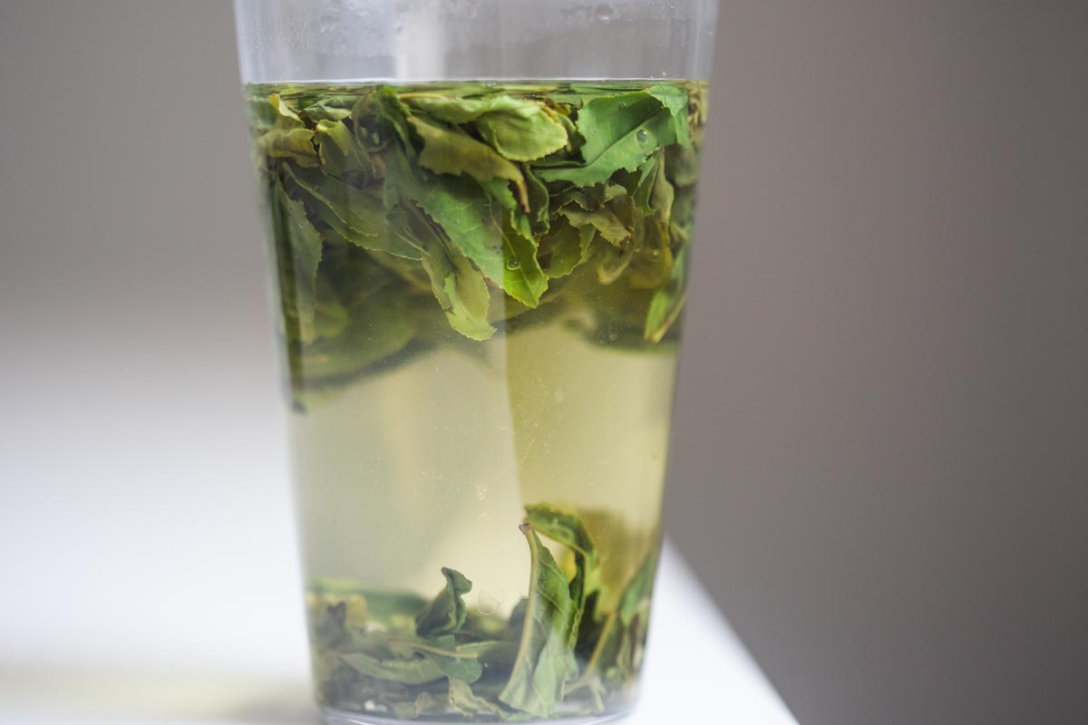 old soul 2026 spring liuan guapian green tea 1 | BITTERLEAF TEAS