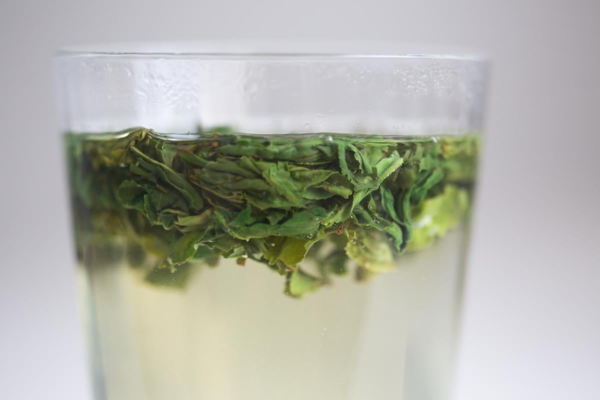 old soul 2026 spring liuan guapian green tea 2 | BITTERLEAF TEAS