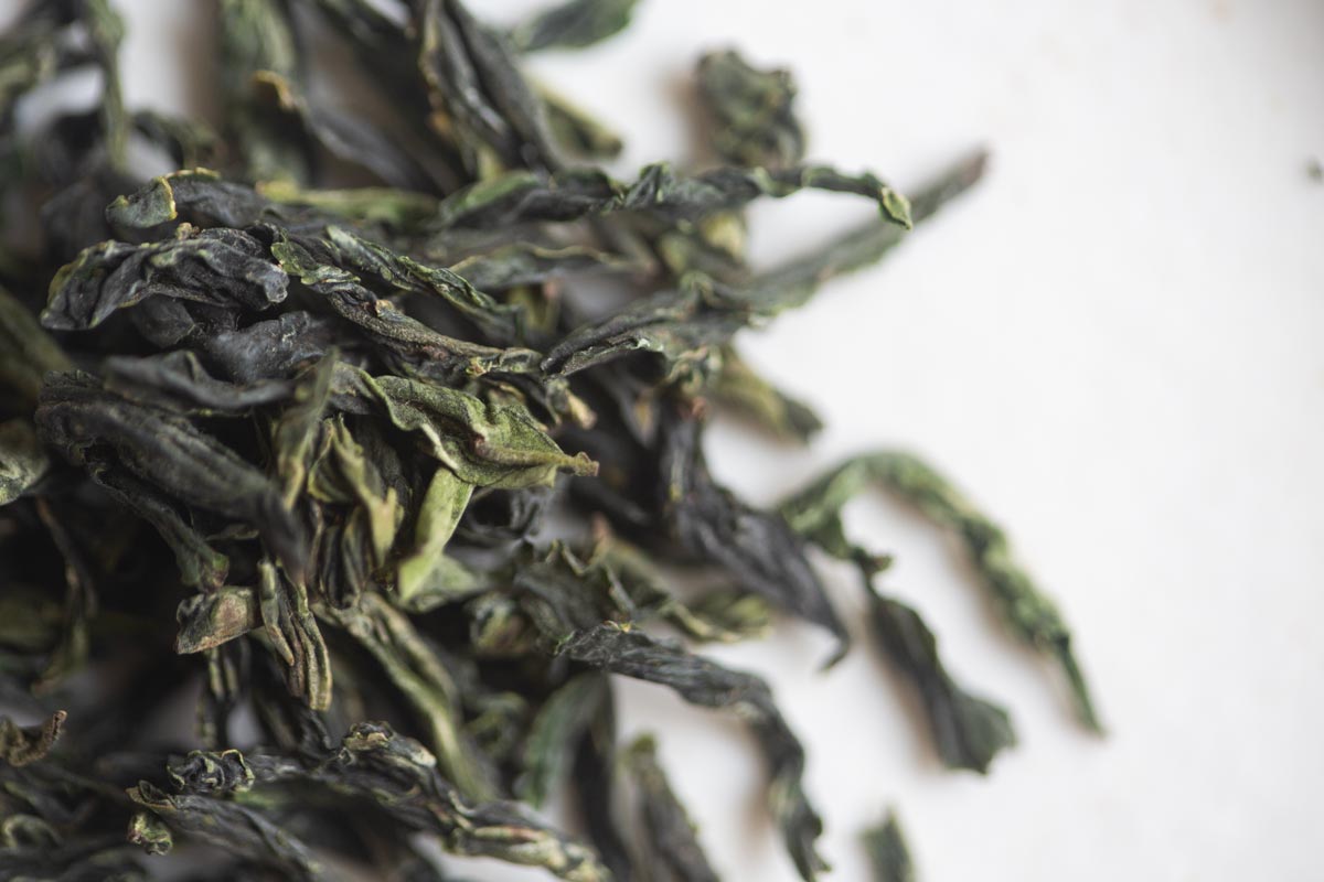 old soul 2026 spring liuan guapian green tea 4 | BITTERLEAF TEAS