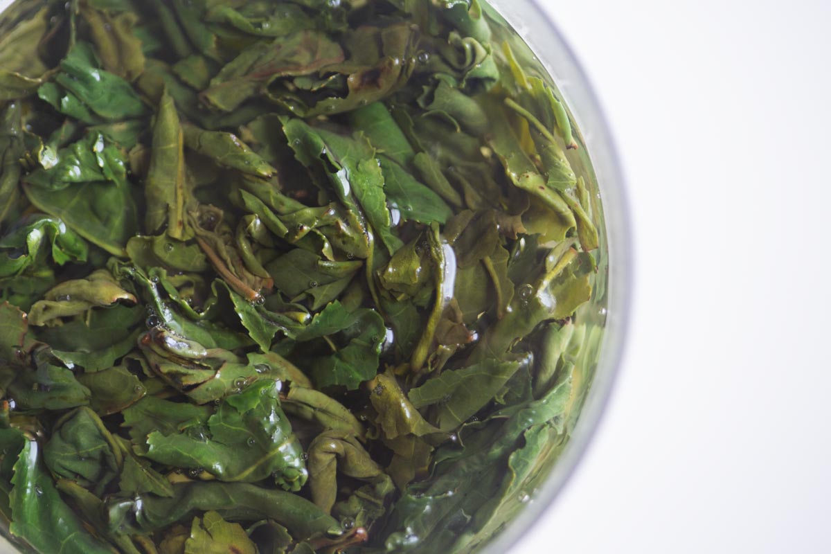 old soul 2026 spring liuan guapian green tea 5 | BITTERLEAF TEAS
