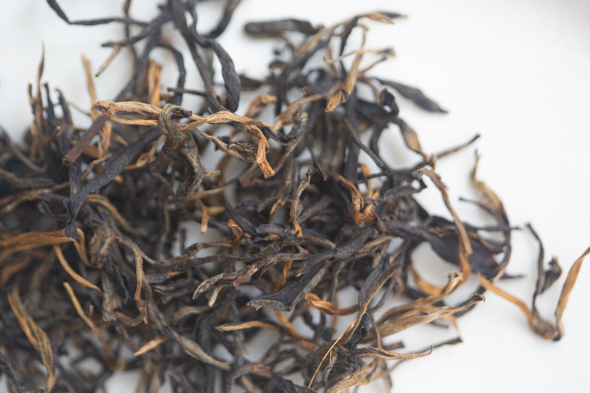 plum beauty 2026 spring mengsong organic black tea 3 | BITTERLEAF TEAS plum beauty 2026 spring mengsong organic black tea 3 | BITTERLEAF TEAS
